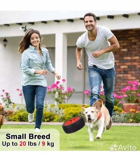 Игрушки для собак