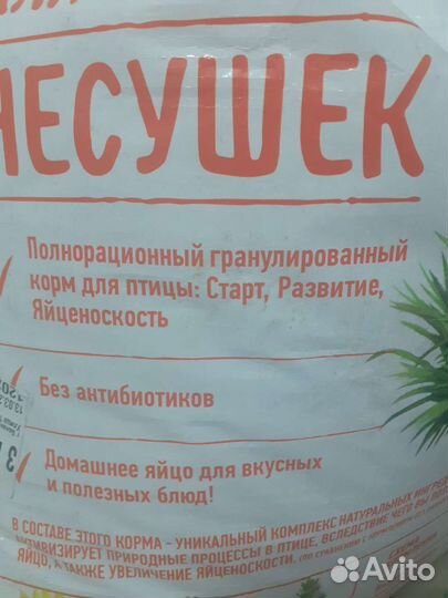 Корм для кур несушек