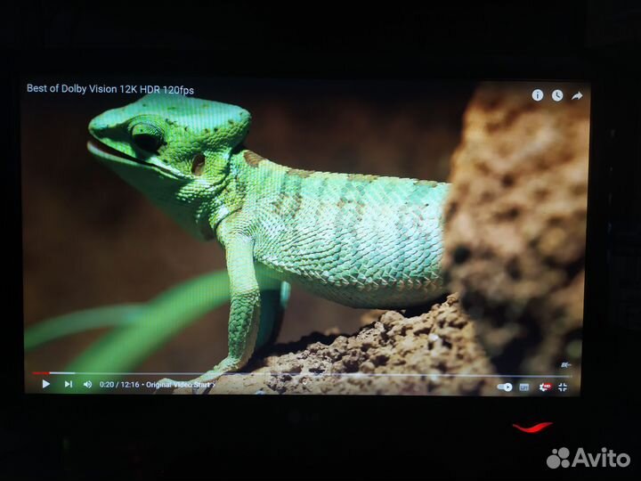 Монитор LG flatron w2443s