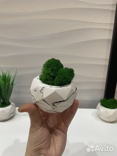 Кашпо из гипса