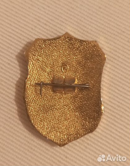 Значок дружинник