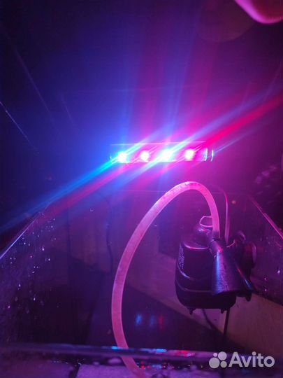 Аквариум 8 литров