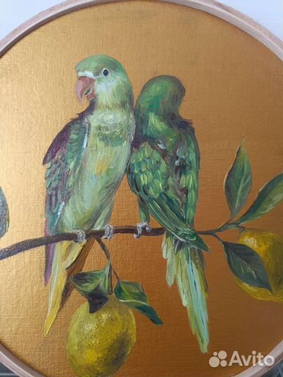 Картина маслом Оржеловый попугай