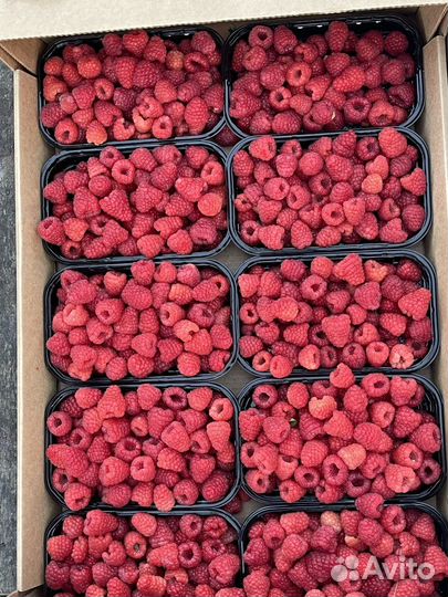 Поставщик продуктов и фруктов из Фуд Сити