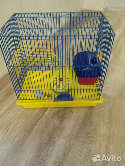 Клетка