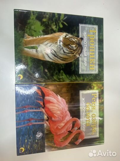 Серия детских энциклопедий про животных