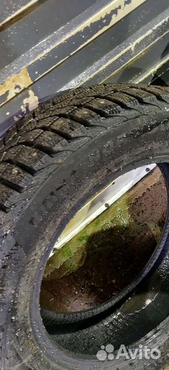 Viatti Bosco Nordico V-523 205/55 R16