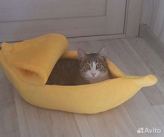 Лежанка для кошек 