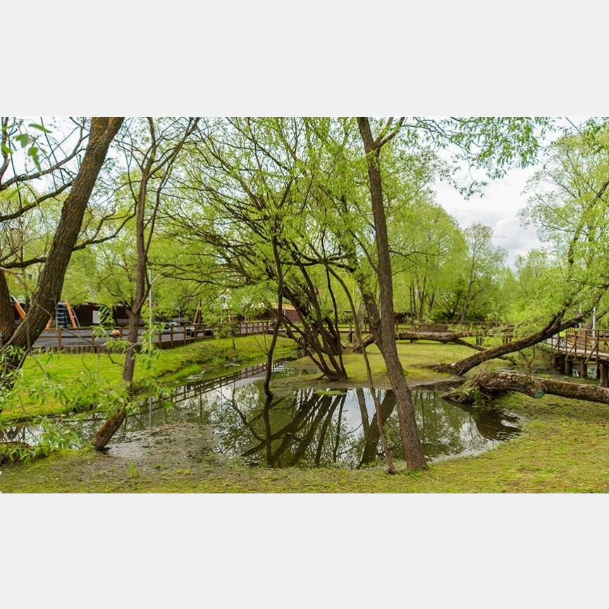 Квартира-студия, 19 м², 4/19 эт.