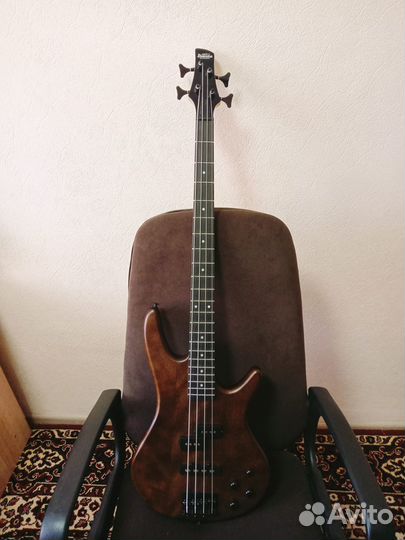 Бас гитара с комбиком