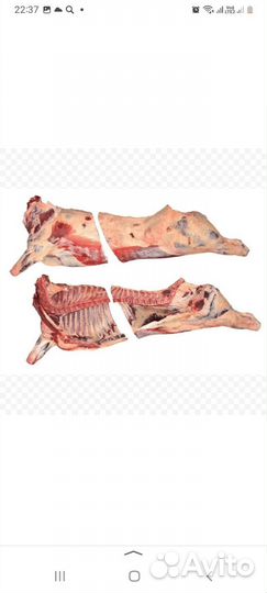 Мясо баранина тушка