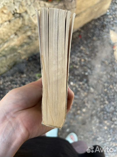 Стефан Цвейг. Нетерпение сердца