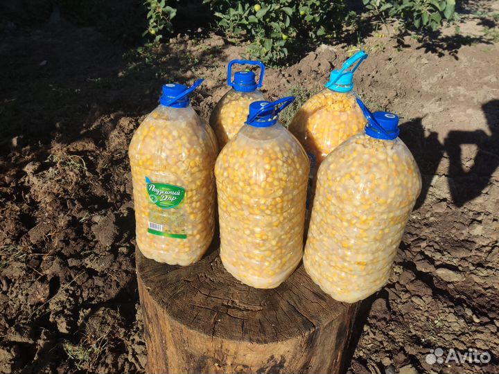 Пьяная кукуруза