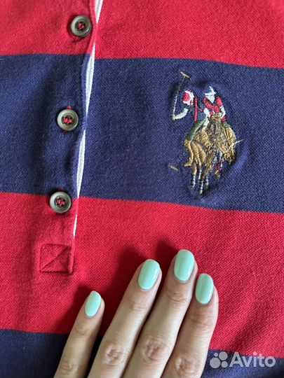 Кофта поло us polo assn для конного спорта
