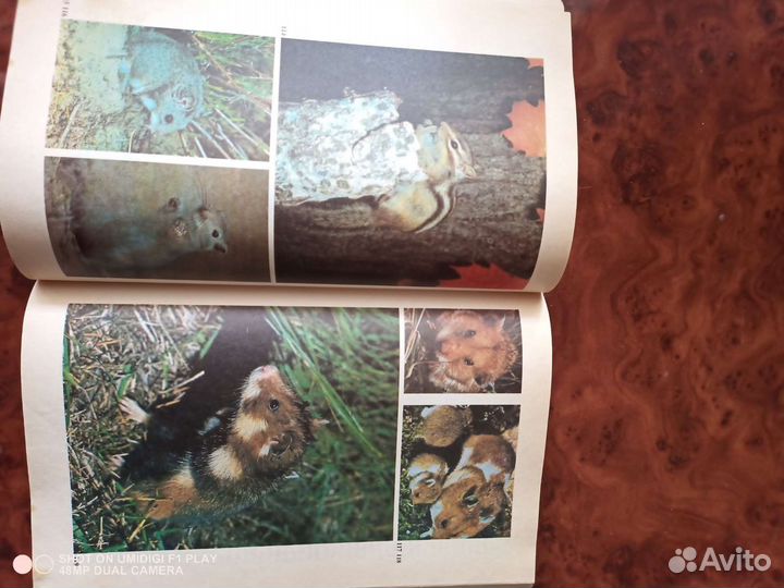 Полезная дом.литература