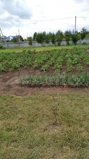 Дача 20 м² на участке 15 сот.