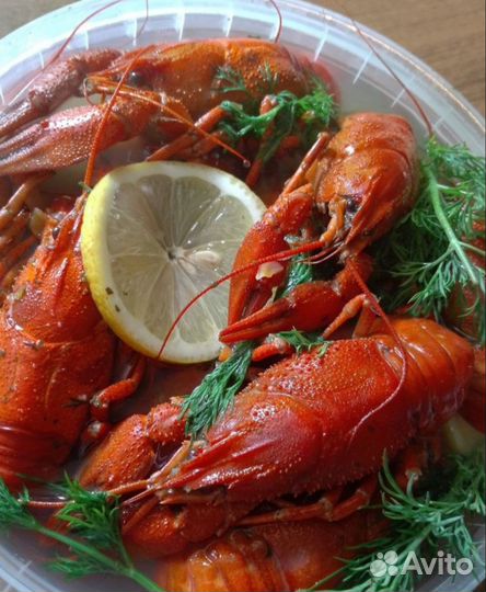 Доставка живых и варенных раков круглосуточно