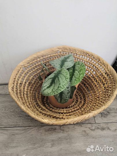Корзина плетёная СССР