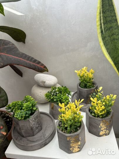 Гипсовое кашпо с искусственными растениями