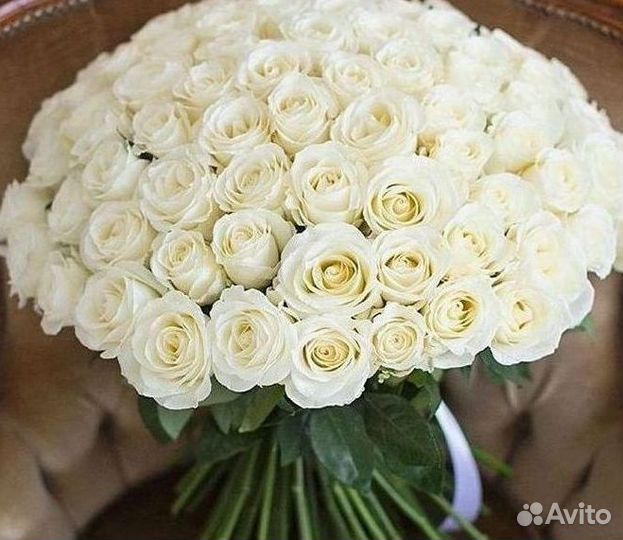 101 Роза Цветы Букеты 51 25 Роз Доставка