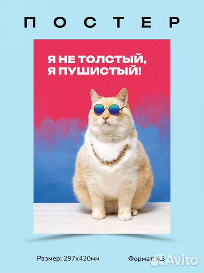 Постер, плакат с юмором 