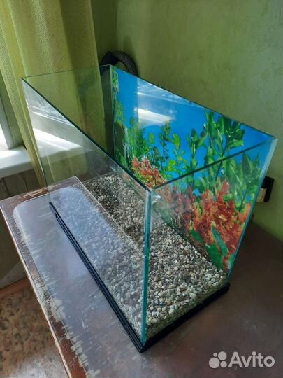 Аквариум