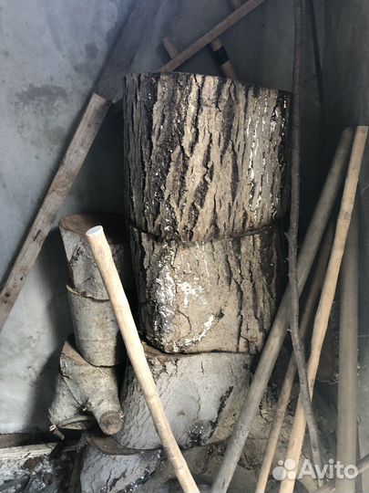 Ореховое дерево