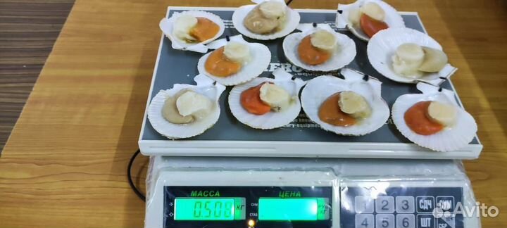 Икорный морской гребешок на полустворке