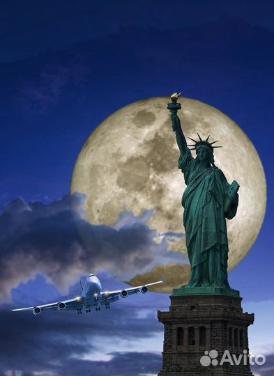 Заполнение Грин карт Green Card 2025