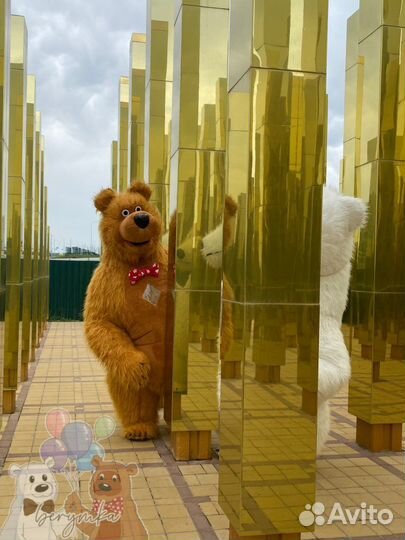 Экспрес поздравление от весёлых мишек