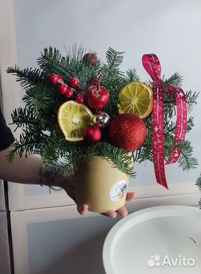 Композиции из нобилиса