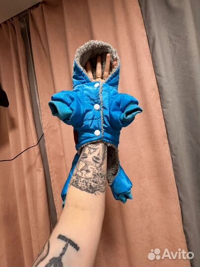 Комбинезон для собаки