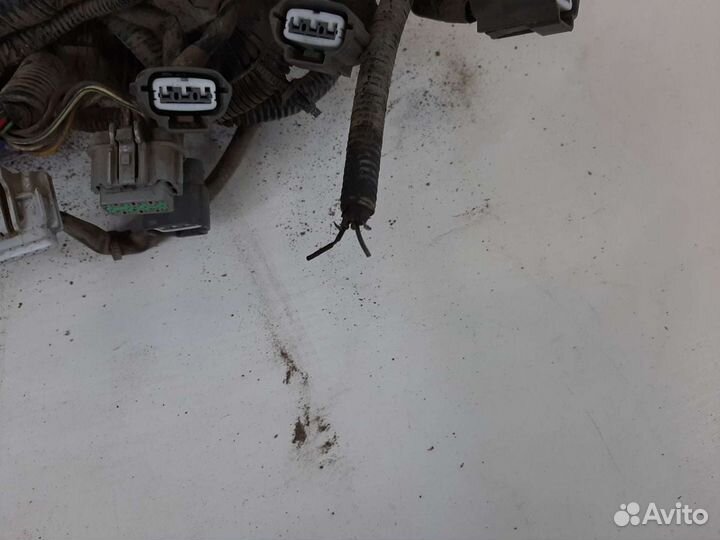 Проводка двигателя Ниссан Альмера классик
