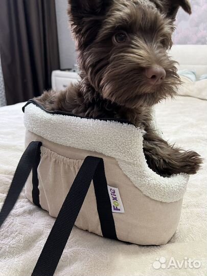 Сумка переноска для животных мягкая с мехом
