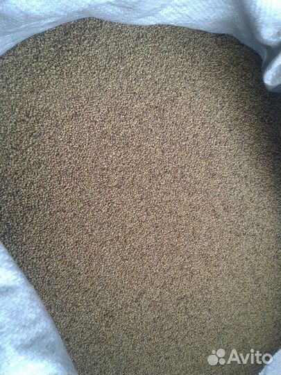 Семена люцерны оптом и в розницу от 1кг