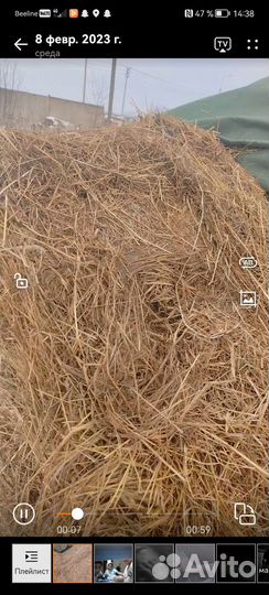 Сено в тюках по 300 килограмм, цена 3 500
