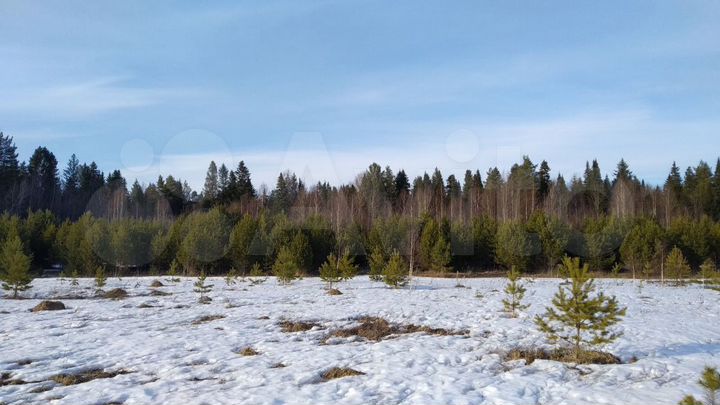 Участок 17,8 сот. (ИЖС)