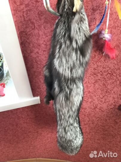 Мех серебристого песца