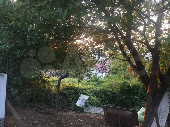 Участок 10,7 сот. (СНТ, ДНП)