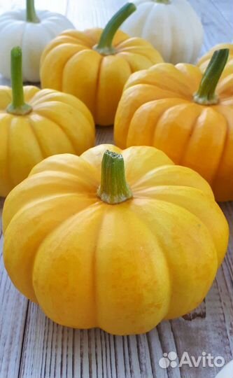 Тыквы декоративные