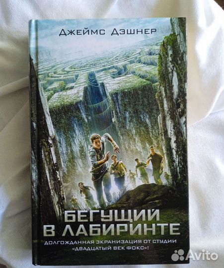 Бегущий в лабиринте