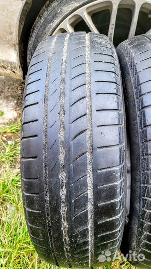 Pirelli Cinturato P1 175/70 R14