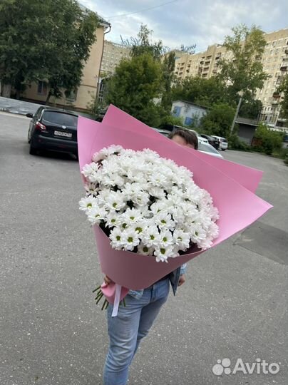 XXL букет ромашек