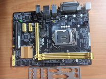 Материнская плата Asus H81M-C