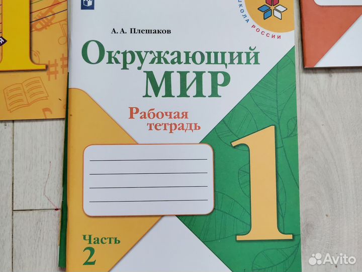 Рабочие тетради школа россии 1 класс