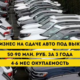 6,6 млн на бизнесе по аренде авто