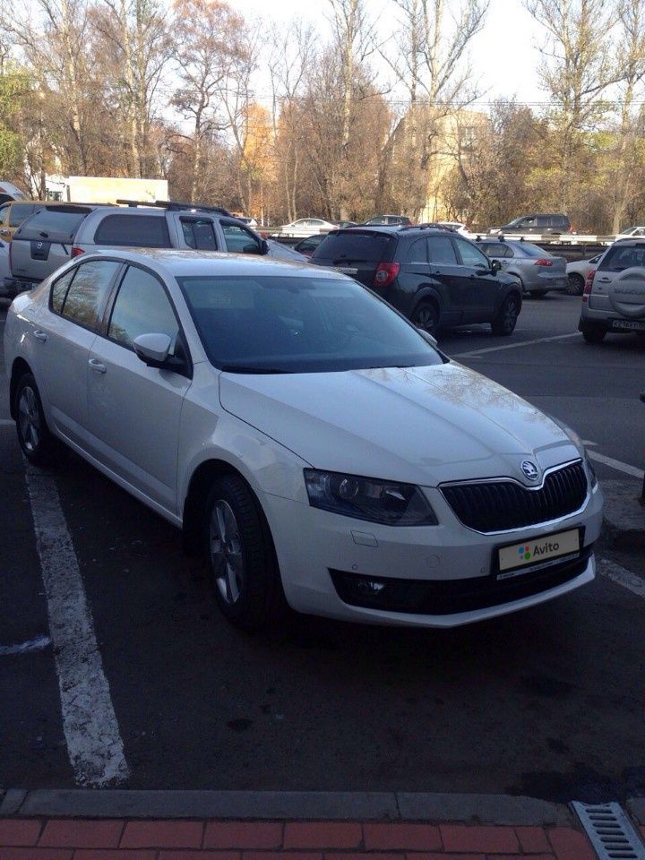 Skoda Octavia: фото владельца