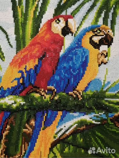 Алмазная мозаика на подрамнике Попугай Ара Пара