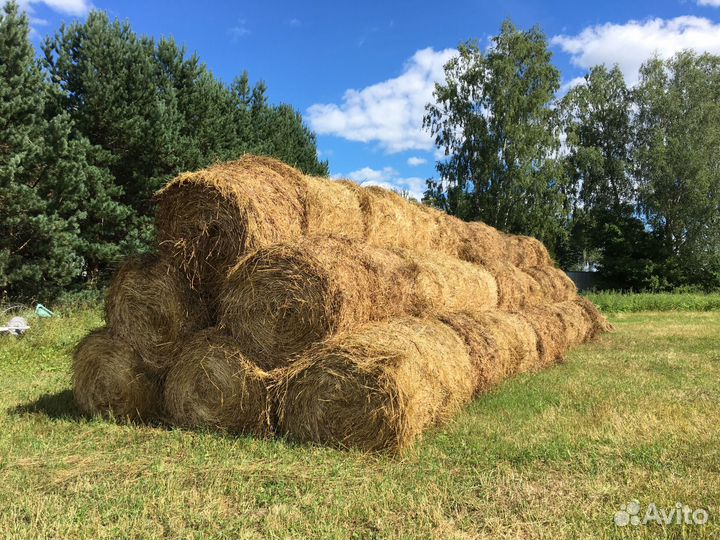Сено в рулонах