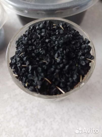 Семяна лука-чернушка